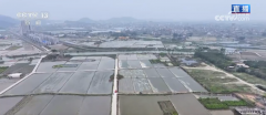 “新耕具”为各地春耕春管按下“快进键” 但愿