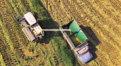 四川武胜县：稻浪翻腾粮满仓