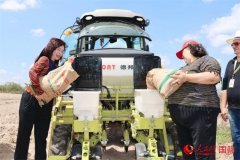 <b>“中巴科技小院”帮力巴西家庭农业机械化</b>